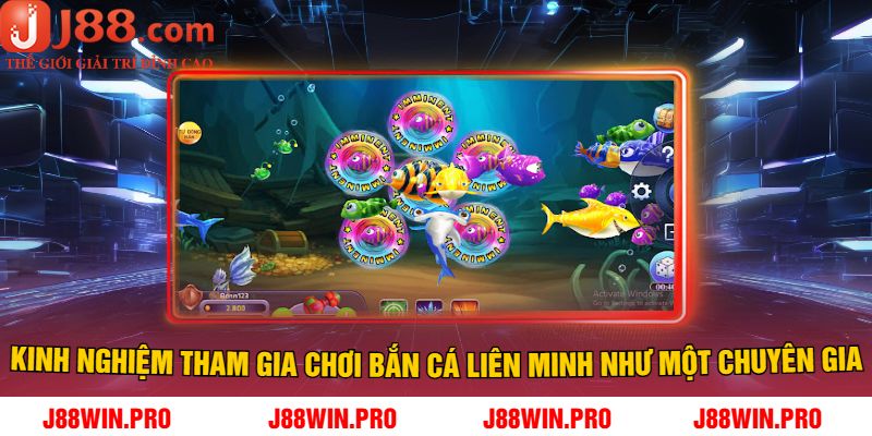 Kinh nghiệm tham gia chơi Bắn Cá Liên Minh như một chuyên gia